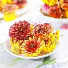 1pc 30g/90g/150g/300g, 5pcs/15pcs/25pcs Dried Plant Decor, Fragrance Cinnamon Sticks, Jasmine, Pingyin Rose, Marigold, Orange Slices, Lavender, Star Anise, Strawflower, Rosemary, Lemon Slices, Hawthorn, Golden Rose, Mimosa, Dandelion, Chrysanthemum, Longan, Red Plum, Carnation, Rose Petals DIY