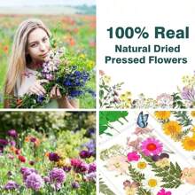 35-43 pezzi di fiori secchi e pressati naturali in kit fai-da-te per resina epossidica, stampi per gioielli in resina epossidica, candele, saponi, decorazioni per unghie, segnalibri. Materiali naturali a base di foglie vere - realizzati con fogliame reale stagionale, specificamente disidratati, pressati e asciugati per preservarne l'originalità. Stile naturale, adatto a qualsiasi lavorazione fai-da-te.
