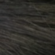 S1B