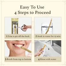 5 cepillos de dientes de palitos de grado superior - Sellado al vacío con sabor natural de plantas árabes auténticas originales - Para encías saludables, dientes y aliento talla grande fresco