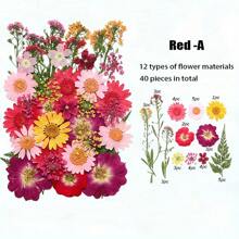 35-43 pezzi di fiori secchi e pressati naturali in kit fai-da-te per resina epossidica, stampi per gioielli in resina epossidica, candele, saponi, decorazioni per unghie, segnalibri. Materiali naturali a base di foglie vere - realizzati con fogliame reale stagionale, specificamente disidratati, pressati e asciugati per preservarne l'originalità. Stile naturale, adatto a qualsiasi lavorazione fai-da-te.