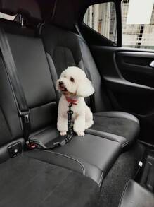 1pc Reversible Reflective Elastic Adjustable Leash, Shatter-Proof Car Tether Suitable For Pets Traveling