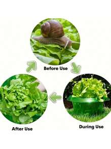 Vegetable Protection Cage, Thicker Snail-Proof Seedlings Guard, Round Plant Grow Tent For Gardening, Pest & Disease Prevention