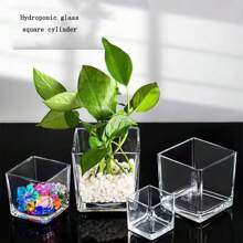 1 pieza Jarrón cuadrado de vidrio, maceta decorativa transparente para hidroponía para flores, suculentas y planta del dinero