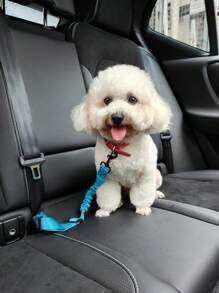 1 pieza Cuerda reflectante reversible y elástica ajustable, arnés de seguridad para mascotas en el coche con absorción de impactos, adecuado para sacar a las mascotas