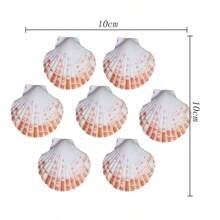 1 pacote de 30g de espécime de decoração de concha natural de vieira colorida - para decoração de casa interna, artesanato faça você mesmo, substrato de aquário, moldura de foto pendurada na parede