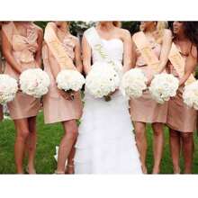 Set de 12 bandas/fajas para despedida de soltera, incluyendo banda para la novia, banda para la tribu de la novia, banda para la madre de la novia, banda para despedida de soltera y banda para fiesta de duchas nupciales