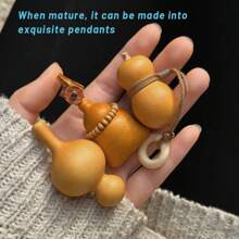 A Hundred Tiny Treasures: 100 Robust Hand Gourd Seeds - Unleash A Bounty Of Charming Twists Across Your Garden - 1 Pack - 查看 5