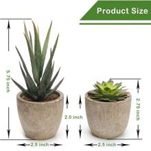 1 Set(5pcs Or 3pcs Or 2pcs)Artificial Succulent Plants Potted,Simulation Plants With Small Artificial Plants, Includes Flower Pots For Interior Home Decor, Office, Bathroom And Bedroom, Comes With Plastic Eucalyptus And Micro Wheat Grass Plants, Perfect For Indoor Desk Artificial Plant Decoration