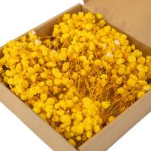 1 Box Natural Preserved Baby's Breath Flowers - Elegant Everlasting Baby's Breath Suitable For Home, Office, Wedding, Christmas, Halloween Parties, DIY Crafts, Maintenance-Free, For Ages 14+ Gifts Birthday Graduation