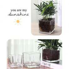 1 pieza Jarrón cuadrado de vidrio, maceta decorativa transparente para hidroponía para flores, suculentas y planta del dinero
