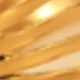 Amarillo Oro
