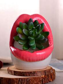 适合各种场合的性感花盆，陶瓷多肉花坛 - 彩色 - 查看 9