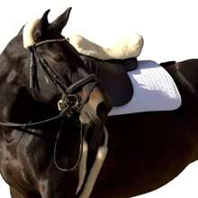 TGW RIDING Dressage Girth, Horse Girth, Horse Cinch With Stainless Steel Buckles, Premium Faux Wool For Horse Belly Band, Available In Multiple Sizes