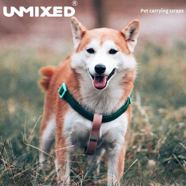 UNMIXED Pet Chest Harness PVC Leash Vest Style Chest Strap, Dog Walking Anti-Pulling Convenient Leash