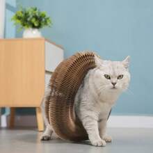 1pc Cat Scratching Board, Interactive Paper Scratching Pad With Flexible Scratch Pad - Encourages Natural Feline Behavior And Indoor Entertainment (Random Color Of Bells)