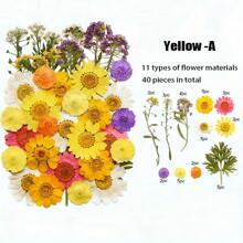 35-43 pezzi di fiori secchi e pressati naturali in kit fai-da-te per resina epossidica, stampi per gioielli in resina epossidica, candele, saponi, decorazioni per unghie, segnalibri. Materiali naturali a base di foglie vere - realizzati con fogliame reale stagionale, specificamente disidratati, pressati e asciugati per preservarne l'originalità. Stile naturale, adatto a qualsiasi lavorazione fai-da-te.