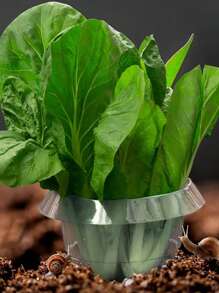 Vegetable Protection Cage, Thicker Snail-Proof Seedlings Guard, Round Plant Grow Tent For Gardening, Pest & Disease Prevention