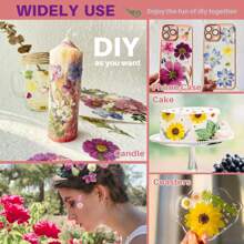 35-43 pezzi di fiori secchi e pressati naturali in kit fai-da-te per resina epossidica, stampi per gioielli in resina epossidica, candele, saponi, decorazioni per unghie, segnalibri. Materiali naturali a base di foglie vere - realizzati con fogliame reale stagionale, specificamente disidratati, pressati e asciugati per preservarne l'originalità. Stile naturale, adatto a qualsiasi lavorazione fai-da-te.
