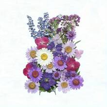 35-43 pezzi di fiori secchi e pressati naturali in kit fai-da-te per resina epossidica, stampi per gioielli in resina epossidica, candele, saponi, decorazioni per unghie, segnalibri. Materiali naturali a base di foglie vere - realizzati con fogliame reale stagionale, specificamente disidratati, pressati e asciugati per preservarne l'originalità. Stile naturale, adatto a qualsiasi lavorazione fai-da-te.