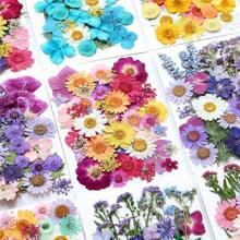 35-43 pezzi di fiori secchi e pressati naturali in kit fai-da-te per resina epossidica, stampi per gioielli in resina epossidica, candele, saponi, decorazioni per unghie, segnalibri. Materiali naturali a base di foglie vere - realizzati con fogliame reale stagionale, specificamente disidratati, pressati e asciugati per preservarne l'originalità. Stile naturale, adatto a qualsiasi lavorazione fai-da-te.