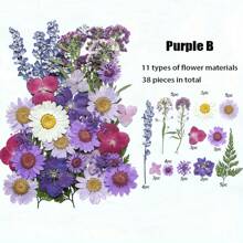 35-43 pezzi di fiori secchi e pressati naturali in kit fai-da-te per resina epossidica, stampi per gioielli in resina epossidica, candele, saponi, decorazioni per unghie, segnalibri. Materiali naturali a base di foglie vere - realizzati con fogliame reale stagionale, specificamente disidratati, pressati e asciugati per preservarne l'originalità. Stile naturale, adatto a qualsiasi lavorazione fai-da-te.