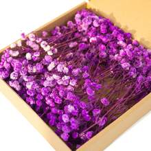 1 Box Natural Preserved Baby's Breath Flowers - Elegant Everlasting Baby's Breath Suitable For Home, Office, Wedding, Christmas, Halloween Parties, DIY Crafts, Maintenance-Free, For Ages 14+ Gifts Birthday Graduation