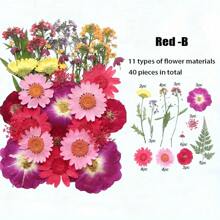 35-43 pezzi di fiori secchi e pressati naturali in kit fai-da-te per resina epossidica, stampi per gioielli in resina epossidica, candele, saponi, decorazioni per unghie, segnalibri. Materiali naturali a base di foglie vere - realizzati con fogliame reale stagionale, specificamente disidratati, pressati e asciugati per preservarne l'originalità. Stile naturale, adatto a qualsiasi lavorazione fai-da-te.