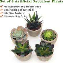 1 Set(5pcs Or 3pcs Or 2pcs)Artificial Succulent Plants Potted,Simulation Plants With Small Artificial Plants, Includes Flower Pots For Interior Home Decor, Office, Bathroom And Bedroom, Comes With Plastic Eucalyptus And Micro Wheat Grass Plants, Perfect For Indoor Desk Artificial Plant Decoration