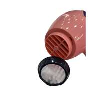 Soplador de aire frío y caliente de alta potencia de 4000w - Tipo de Enchufe A USA (110-127V) - Ver 5