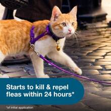 Flea & Tick Prevention Collar For Cats, 8-Month Protection, Vet-Recommended