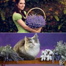 3 Bunches Artificial Lavender Flowers, Plastic Plants For Home Decor, Wedding, Kitchen, Garden, Porch, Window Box, Office, Tabletop Centerpiece, Purple Gifts Birthday Graduation