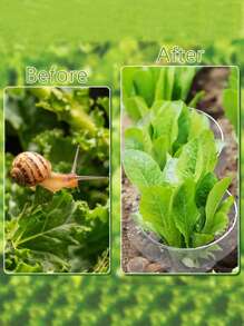 Vegetable Protection Cage, Thicker Snail-Proof Seedlings Guard, Round Plant Grow Tent For Gardening, Pest & Disease Prevention