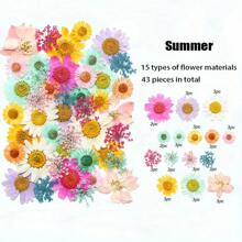 35-43 pezzi di fiori secchi e pressati naturali in kit fai-da-te per resina epossidica, stampi per gioielli in resina epossidica, candele, saponi, decorazioni per unghie, segnalibri. Materiali naturali a base di foglie vere - realizzati con fogliame reale stagionale, specificamente disidratati, pressati e asciugati per preservarne l'originalità. Stile naturale, adatto a qualsiasi lavorazione fai-da-te.