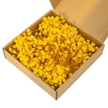1 Box Natural Preserved Baby's Breath Flowers - Elegant Everlasting Baby's Breath Suitable For Home, Office, Wedding, Christmas, Halloween Parties, DIY Crafts, Maintenance-Free, For Ages 14+ Gifts Birthday Graduation