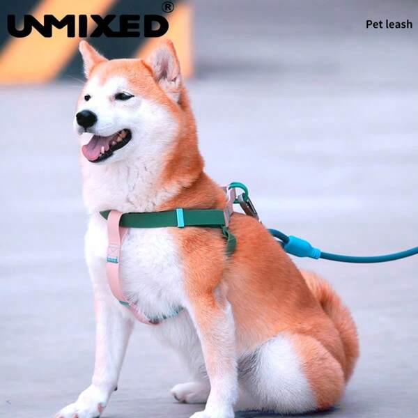 UNMIXED Pet Leash, Waterproof PVC Dog Lead Leash For Teddy, Corgi And Small/Medium Breeds