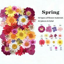 35-43 pezzi di fiori secchi e pressati naturali in kit fai-da-te per resina epossidica, stampi per gioielli in resina epossidica, candele, saponi, decorazioni per unghie, segnalibri. Materiali naturali a base di foglie vere - realizzati con fogliame reale stagionale, specificamente disidratati, pressati e asciugati per preservarne l'originalità. Stile naturale, adatto a qualsiasi lavorazione fai-da-te.