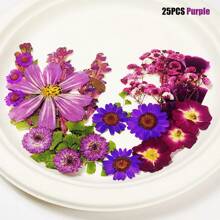 1 confezione/6 confezioni di fiori secchi per resina, fiori pressati, kit di erbe secche sfuse per scrapbooking fai-da-te, stampi per gioielli in resina epossidica, candele, sapone, decorazione unghie, accessori fai-da-te per regali artigianali