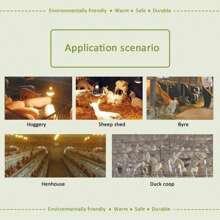 NetHong 2-10PCS INFRA RED HEAT BULB LAMP RUBY 250W Poultry Chick Brooder Lambs Livestock - Red - View 9