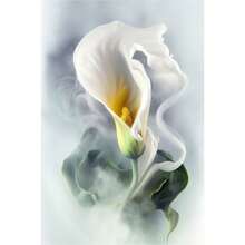 1 件百合花 5D DIY 钻石画套装 - 全套钻石艺术套装，含成人家居墙面装饰手工工具，无框 7.87x11.81 英寸