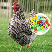 30/90/150 pezzi Anelli colorati per zampe di pollo, fasce in plastica per zampe di pollame, fibbie per zampe di polli, anatre, oche, tacchini - senza batteria necessaria, etichette di identificazione facili da usare