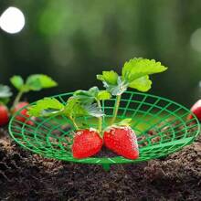 Strawberry Stands With 3 Sturdy Legs, Growing Racks, Protector Frame, Cage Holder, Mold, Rot Dirt, 5pcs 10Pcs