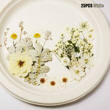 1 confezione/6 confezioni di fiori secchi per resina, fiori pressati, kit di erbe secche sfuse per scrapbooking fai-da-te, stampi per gioielli in resina epossidica, candele, sapone, decorazione unghie, accessori fai-da-te per regali artigianali