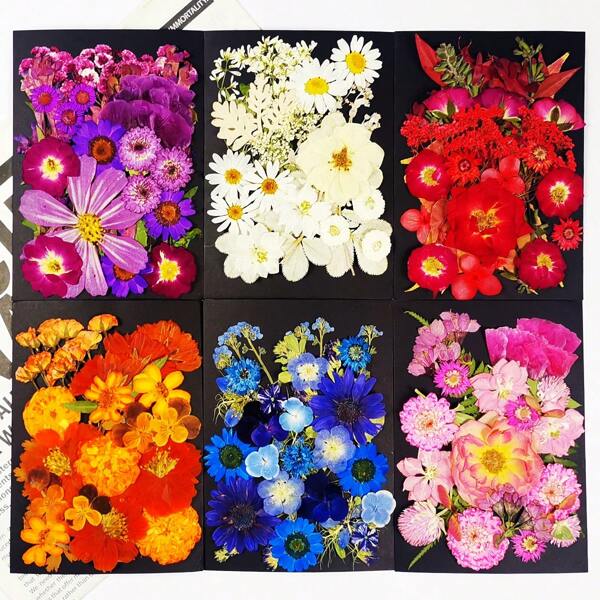1 paquet/6 paquets de fleurs séchées pour résine, fleurs pressées, kit d'herbes en vrac de feuilles sèches pour la scrapbooking, les bijoux en résine époxy DIY, les bougies, le savon, la décoration des ongles, les artisanat d'art DIY, cadeaux et accessoires