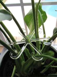 4pcs Adjustable Plant Support Clips - Sturdy Transparent & Green Vine Trellis For Upright Growth, Secure Stem Holders With Easy Installation And Reusable Design