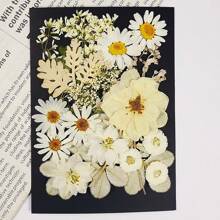 1 confezione/6 confezioni di fiori secchi per resina, fiori pressati, kit di erbe secche sfuse per scrapbooking fai-da-te, stampi per gioielli in resina epossidica, candele, sapone, decorazione unghie, accessori fai-da-te per regali artigianali