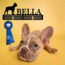 Pet Award Medal Hanger Monogram - 12 Rungs For Medals & Ribbons, Metal Sign, Art, Wall Decor Gifts Birthday Graduation