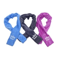 1 件纯色速干运动毛巾，带刺绣标志，适合跑步、健身、户外徒步、露营、旅行等。家居浴室装饰秋季装饰海滩必需品返校