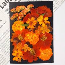 1 confezione/6 confezioni di fiori secchi per resina, fiori pressati, kit di erbe secche sfuse per scrapbooking fai-da-te, stampi per gioielli in resina epossidica, candele, sapone, decorazione unghie, accessori fai-da-te per regali artigianali