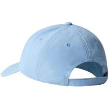 The North Face Pet Recycled 66 Classic voor Man in kleur Grijs ✅ Levering binnen 3-5 dagen